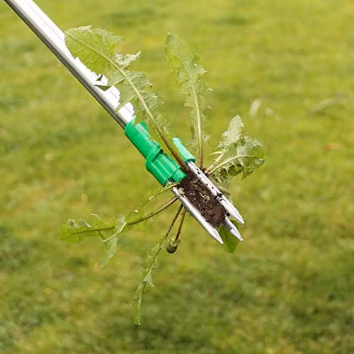 AMOS Silver Stand-Up Weed Puller Tool with Long Handle and 3 Claws, Manual Root Remover for Dandelions and Thistles, Height: 100 cm – 2