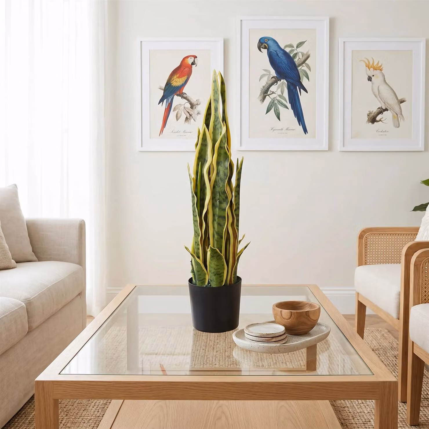 Leaf Artificial Potted Sansevieria Snake Plant in Yellow and Green, Height: 55 cm – 3