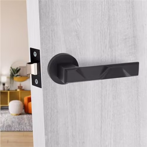 Golden Grace Nova Door Handles on Round Rose, Matt Black Finish – 2