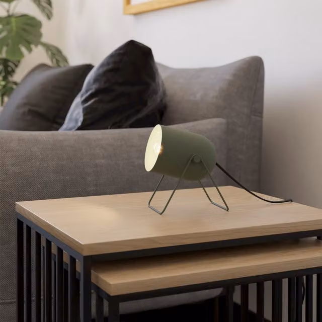 Eglo Tilston Minimalist Adjustable Metal Desk Lamp in Green