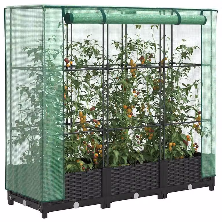 Berkfield Home Raised Bed with Greenhouse Cover in Black Rattan Look, W/D/H: 120 x 40 x 123 cm