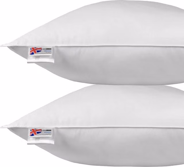 Homescapes Duck Feather Euro Continental Square Pillow Pair, White, W/D/H: 80 x 80 x 80 cm