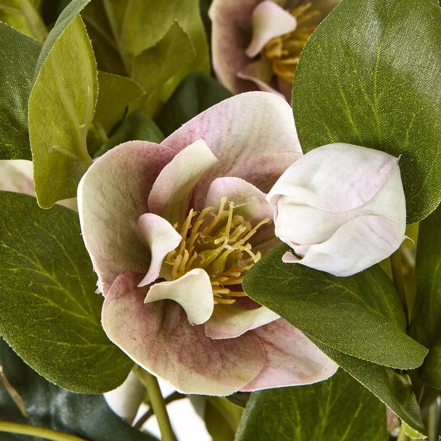 Hill Interiors Hellebore Artificial Potted Plant in Pink, H 41.0 cm x W 38.0 cm x D 33.0 cm – 3