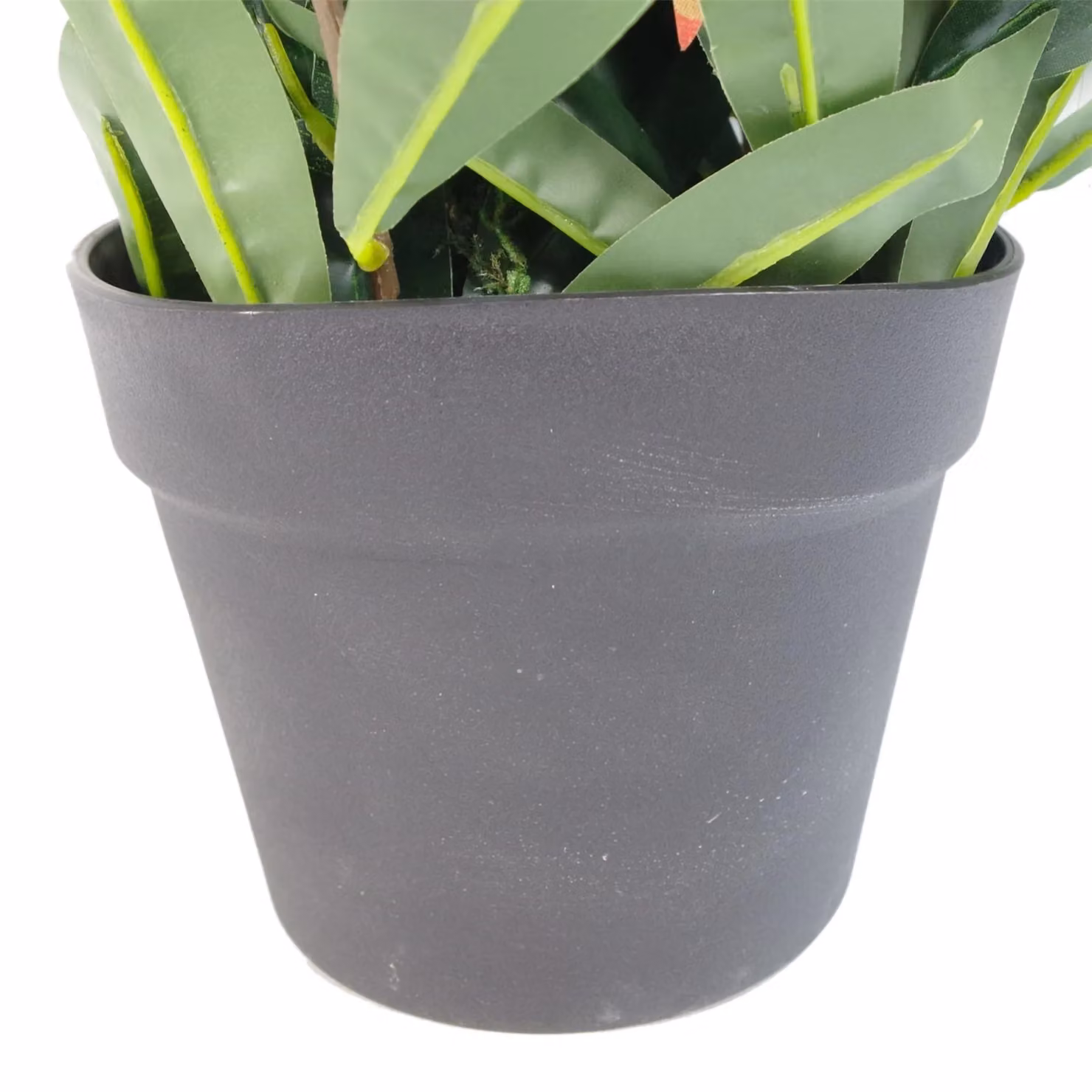 Leaf Red Robin Artificial Ficus Tree in Red and Green, Height: 80 cm – 3