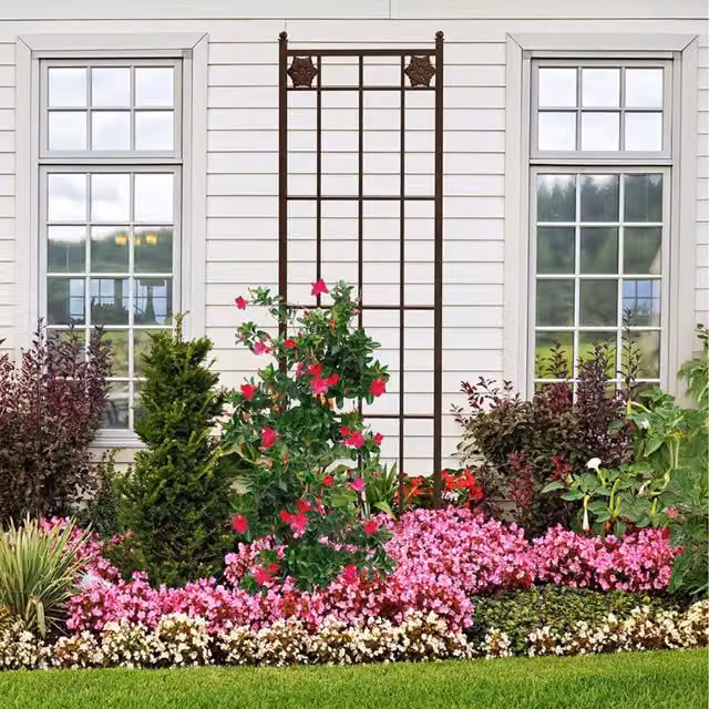 Primrose Brown Powder Coated Metal Rosette Design Rectangular Garden Trellis Support