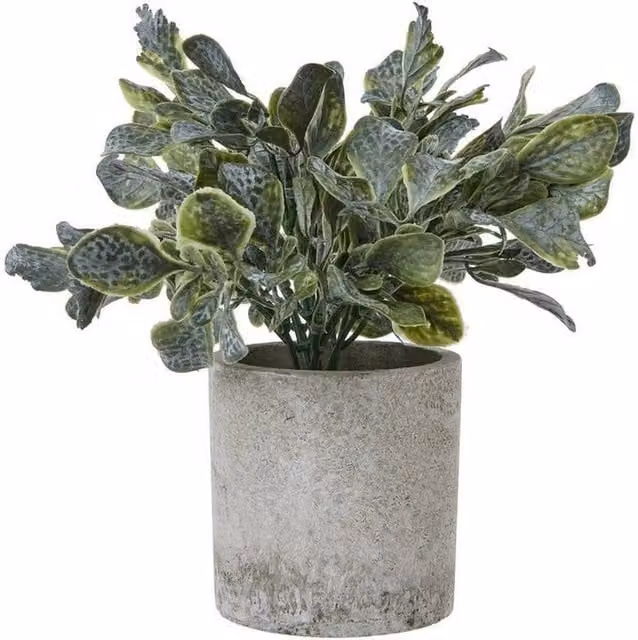 Lemon Pavilion Furniture and Decor Small Giana Eucalyptus Potted Plant in Green and Grey, Height: 20 cm – 1