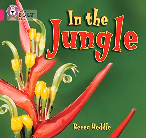 In the Jungle: Band 01B/Pink B (Collins Big Cat) by Collins, Multicolour