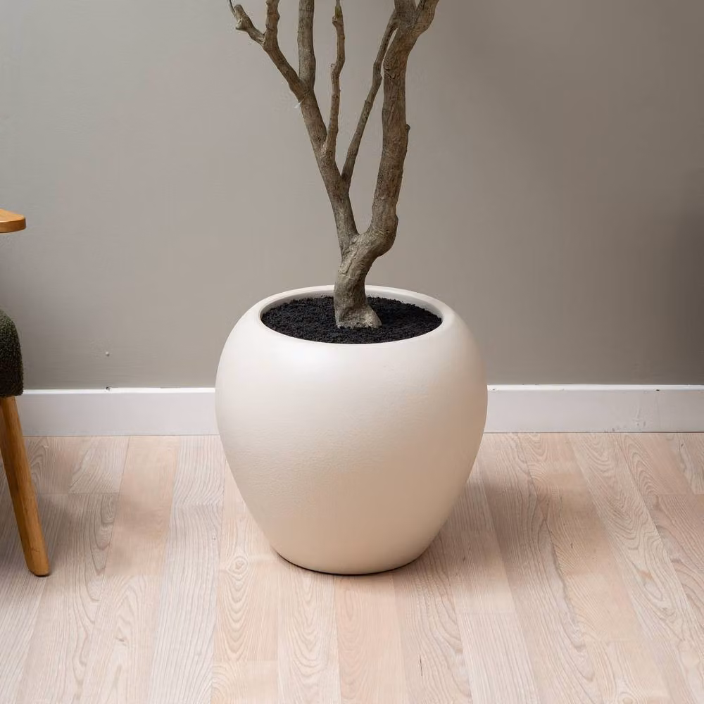 Scottish Everlastings Ltd 270 cm Green Eucalyptus Tree – 3