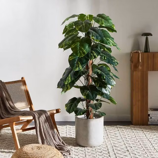 Wyld and Coco Green Dieffenbachia Artificial Potted Plant, Height: 152 cm