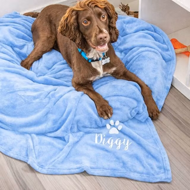 Duncan Stewart Personalised Woven Dog Blanket Throw in Light Blue, W/D: 180 x 140 cm – 1
