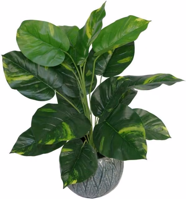 Dyzi Variegated Artificial Green Houseplant in a Black Plastic Pot, Height: 60 cm