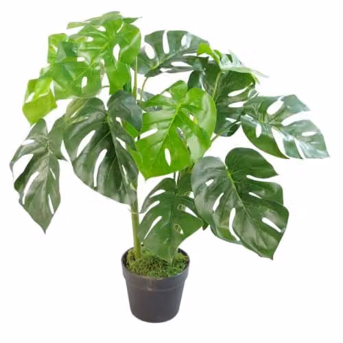 Leaf Artificial Monstera Plant in a Black Pot, Green, Height: 80 cm