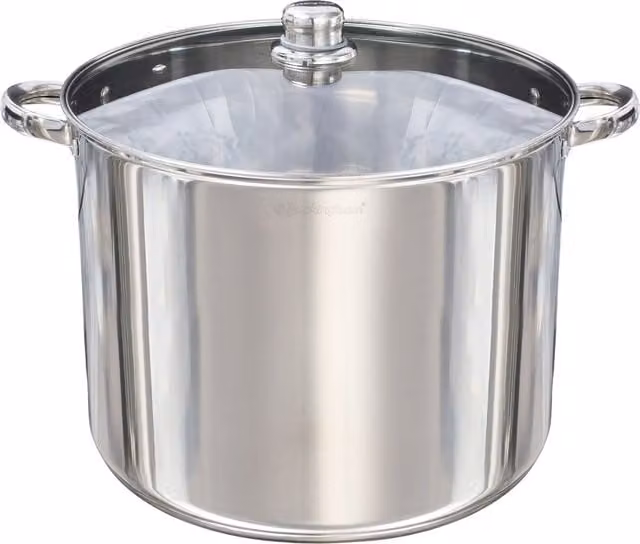 Buckingham Stainless Steel Deep Stock Pot with Glass Lid, Silver, 19 l, Diameter: 32 cm