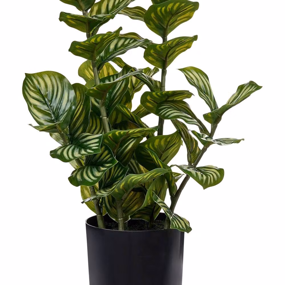 Wyld and Coco Green Realistic Artificial Potted Tabletop Plant, Height: 50 cm – 1