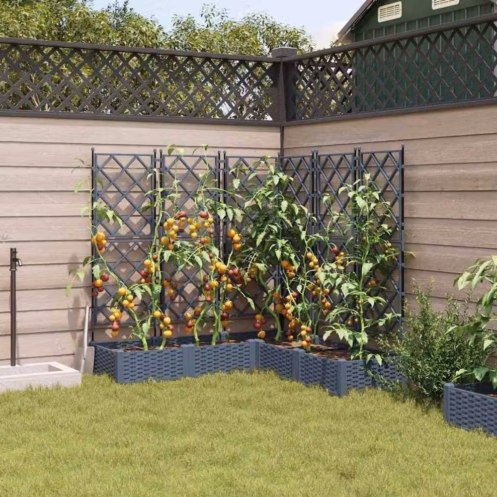 Berkfield Home Garden Planter with Trellis, 5 Piece Set, Light Grey, W/D/H: 120 x 120 x 125.5 cm – 3