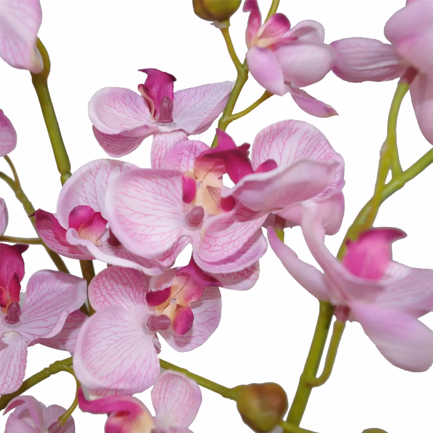 Leaf Design UK Pink Realistic Artificial Orchid Flower Display in Pot, Height: 60 cm – 2