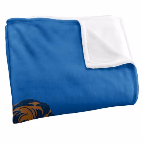 Warner Bros. Green Lantern Banner Super Soft Fleece Throw Blanket, Multicolour, W: 91.44 cm x L: 147 cm – 2