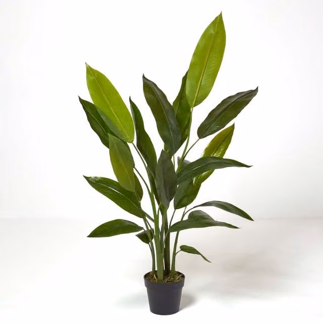 Homescapes Green Heliconia Potted Plant, Height: 140 cm