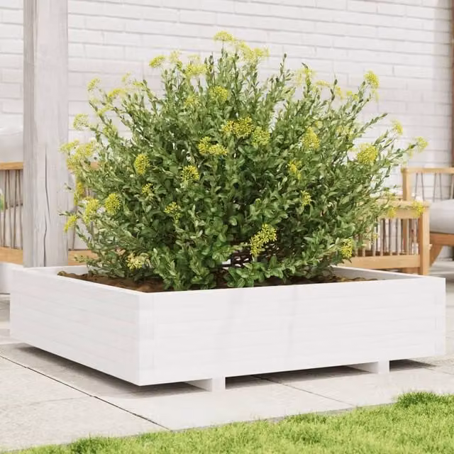 Berkfield Home White Solid Wood Pine Garden Planter Tub W: 100 cm, D: 100 cm, H: 26.5 cm