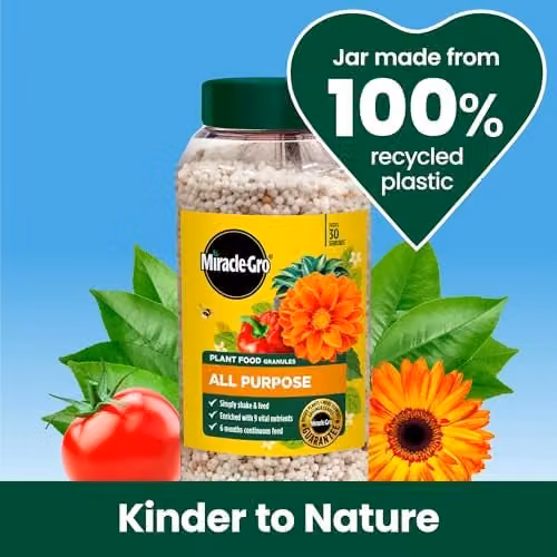 Miracle-Gro Continuous Release All Purpose Plant Food for Indoor and Ornamental Plants, 900 g – 5