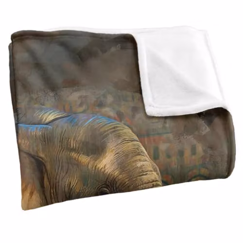 JQ Licensing Elephant Silky Touch Super Soft Fleece Throw Blanket, Multicolour, W: 91 cm, D: 147 cm – 2