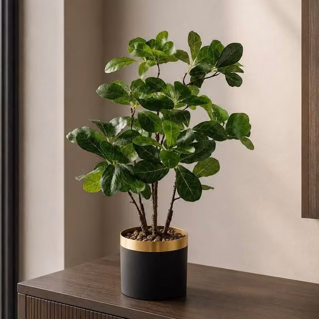 Botanik Artificial Bonsai Tree, Green, H 60 cm x W 30 cm x D 30 cm – 1