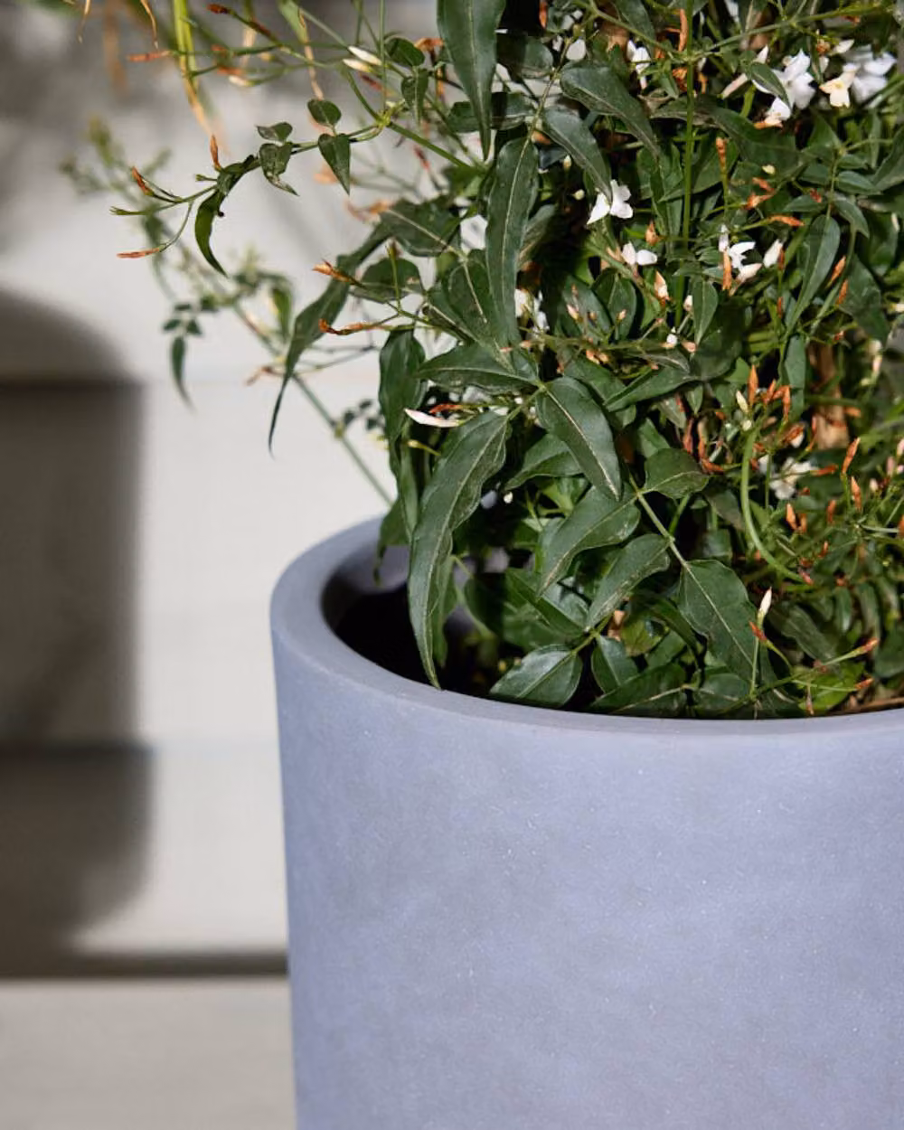 Dibor Small Light Grey Fibre Clay Indoor Outdoor Garden Planter Pot, H 24 cm x Dia 24 cm – 3