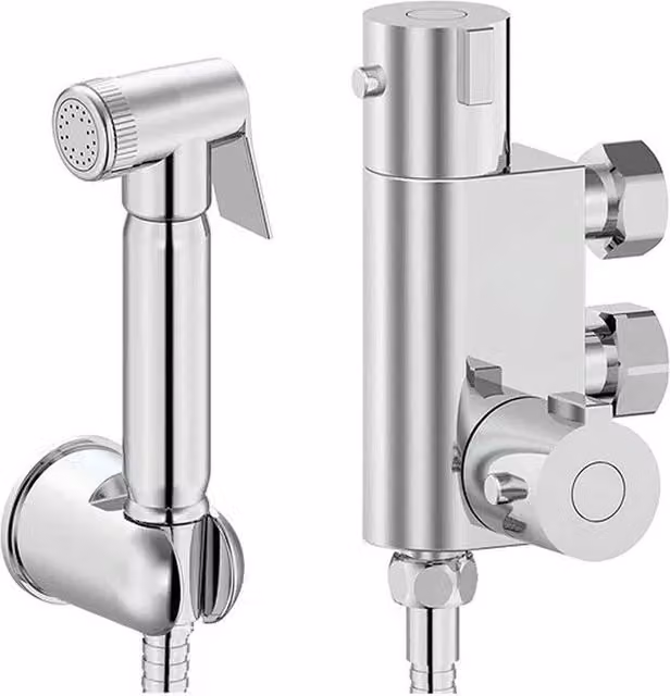 FLAVORA Chrome Thermostatic Bidet Spray Shower Kit in Metallic Silver – 1