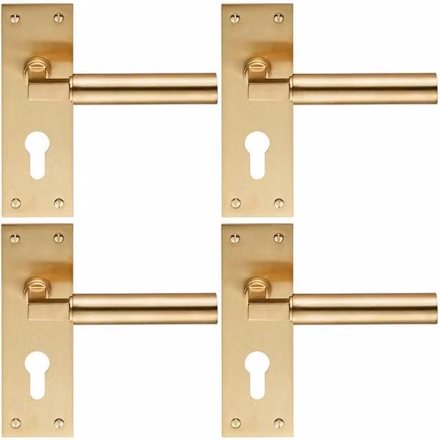 Loops 4x Pair Round Bar Handles with Slim Euro Lock Backplate, Satin Brass, W: 150 mm, H: 50 mm