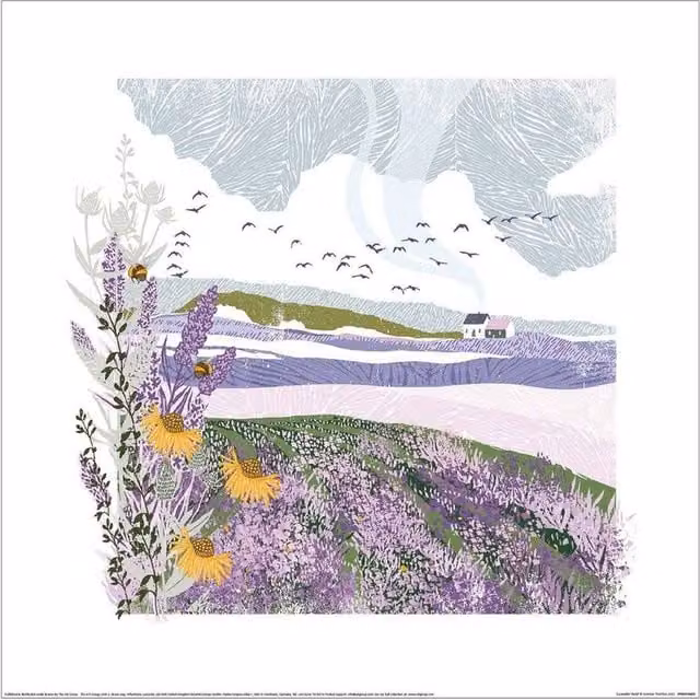 Summer Thornton Lavender Field Floral Paper Poster in Multicolour and Purple
