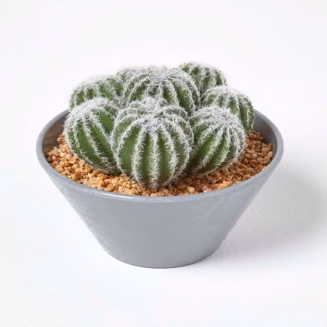 Homescapes Artificial Green Barrel Cactus Succulent Arrangement in a Round Grey Pot, Height: 17 cm