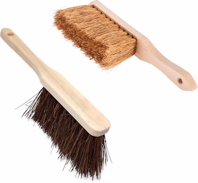 SolaDirect Soft Coco and Stiff Bassine Hand Brush Set in Brown with Natural Wood and Fibre