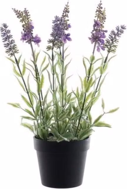 Botanica Potted Artificial Lavender Flowers in Purple and Green