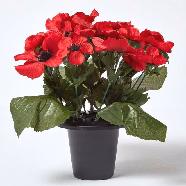 Homescapes Artificial Red Poppy Flower Arrangement for Condolence Grave Pot in Red and Black