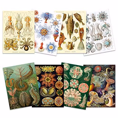 Artery8 Ernst Haeckel Kunstformen Der Natur Sea Life Biology Art Print Poster Pack of 8, Multicolour, W/H: 40.64 x 30.48 cm