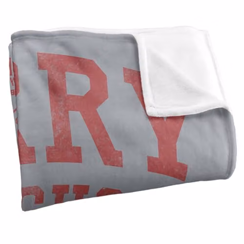 Warner Bros. Welcome To Derry Home Of The Trappers Silky Touch Super Soft Fleece Throw Blanket, Multicolour, W/D/H: 152.4 x 127.0 x 127.0 cm – 2