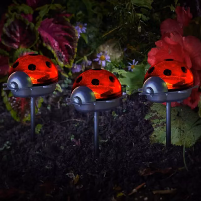 Garden Mile Set of 3 Ladybird Solar Lights in Black and Red