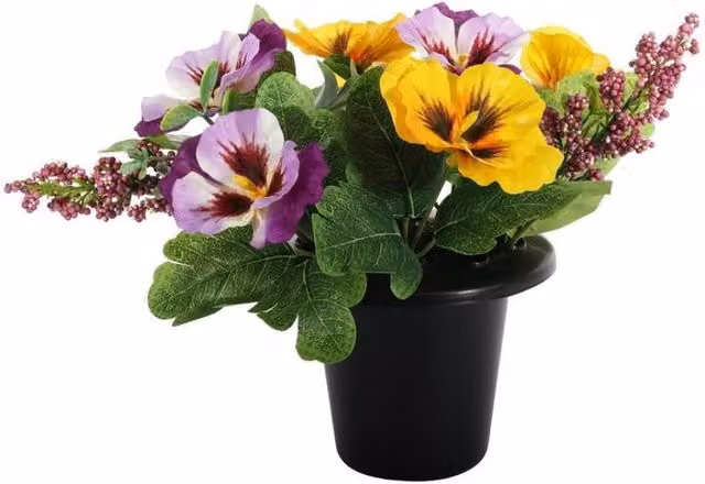 KDMD Essential Yellow and Purple Pansy Remembrance Pot – 1