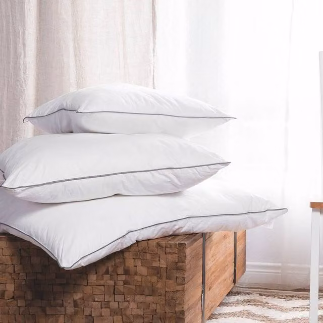 Wyld Haus White Cotton Rectangular Pillow with Soft Hypoallergenic Microfibre Fill, W/D/H: 60 x 40 x 5 cm