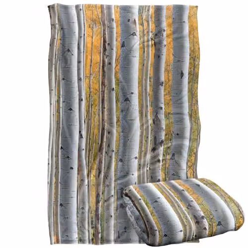JQ Licensing James Piazza Birch Trees Silky Touch Super Soft Fleece Throw Blanket, Multicolour, W: 91 cm, D: 147 cm