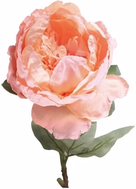 KDMD Peach and Pink Artificial Peony Flowers, Height: 71 cm