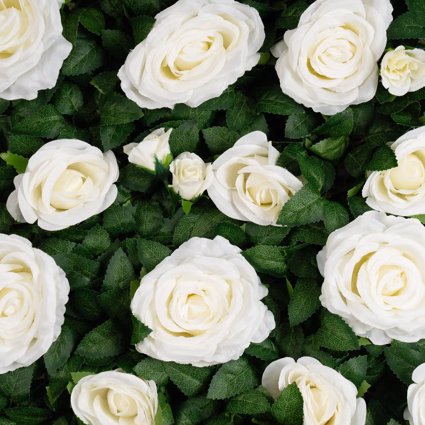 Scottish Everlastings Ltd Rose and Foliage Flower Wall Backdrop Panel, 2 Pack, White, W: 60 cm, H: 40 cm – 3