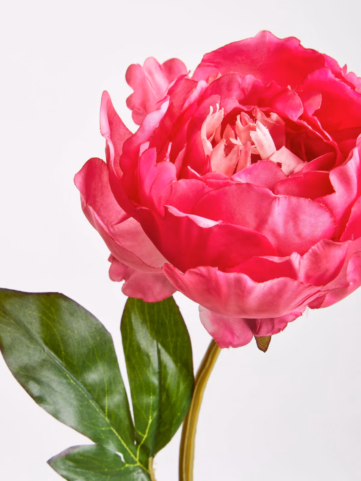 Premier Housewares Fiori Pink Peony Artificial Flower Stem, Height: 65 cm – 2