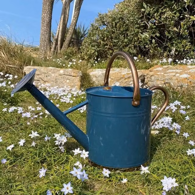 SPETLEK Metal Rose Watering Can in Heritage Blue