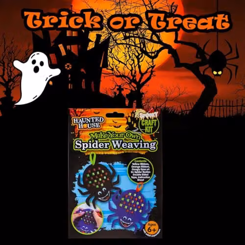 VFM e-Store Halloween Spider Felt Weaving Craft Kit, Multicolour – 5