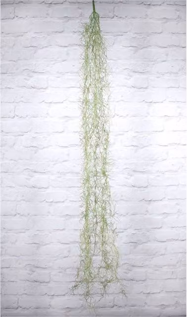 KDMD Artificial Hanging Tilandsia Plant in Green