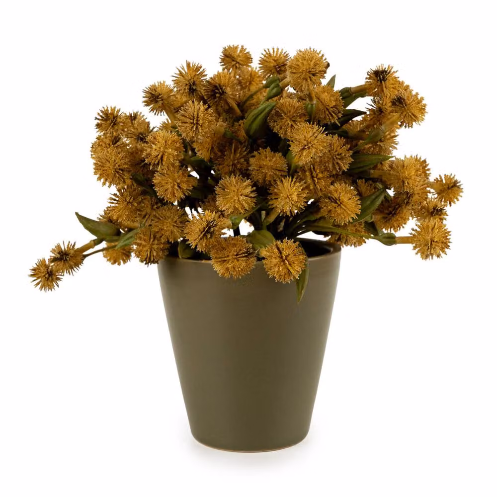 Madison & Mayfair Yellow and Orange Allium Potted Plant in Ceramic Pot – 2
