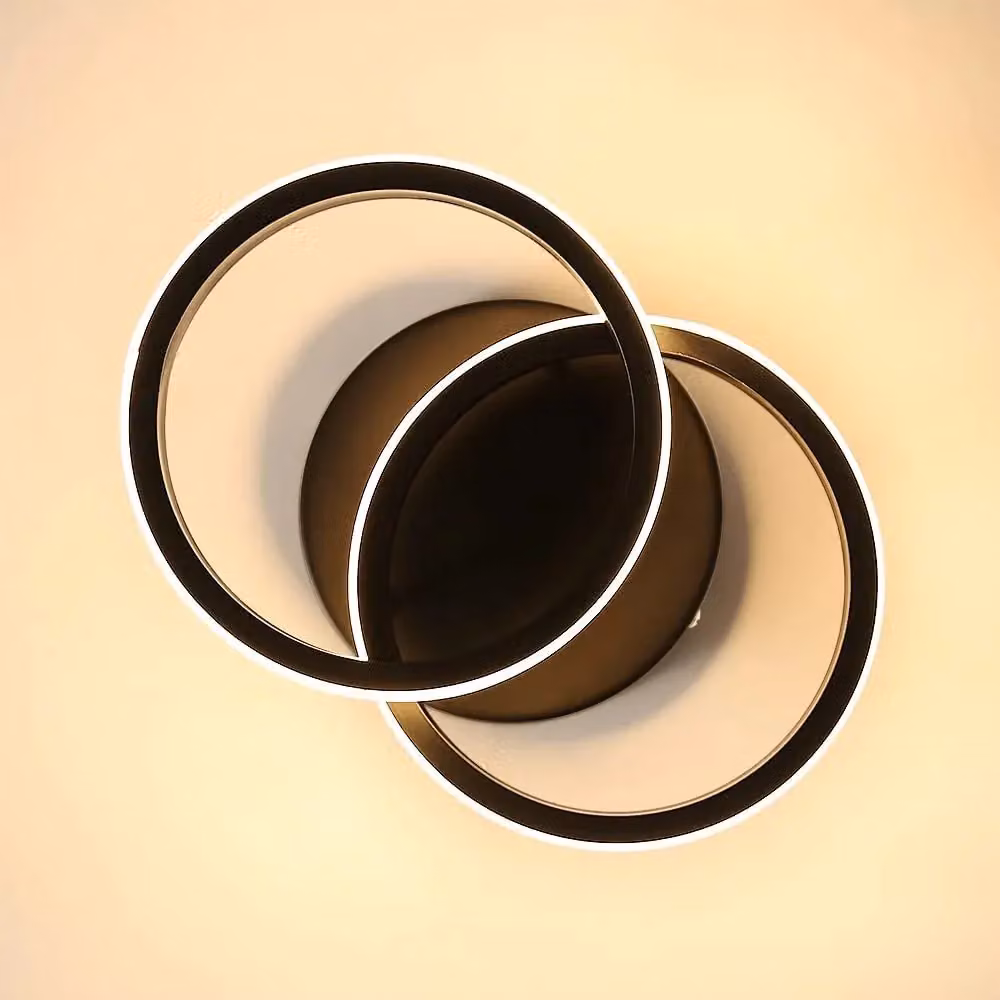 Pheashine Modern LED Ring Ceiling Light, 22W, Warm White, Black – 3