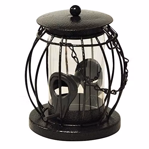 Kingfisher Square Mini Lantern Seed Feeder with Squirrel Guard in Black and Transparent Metal