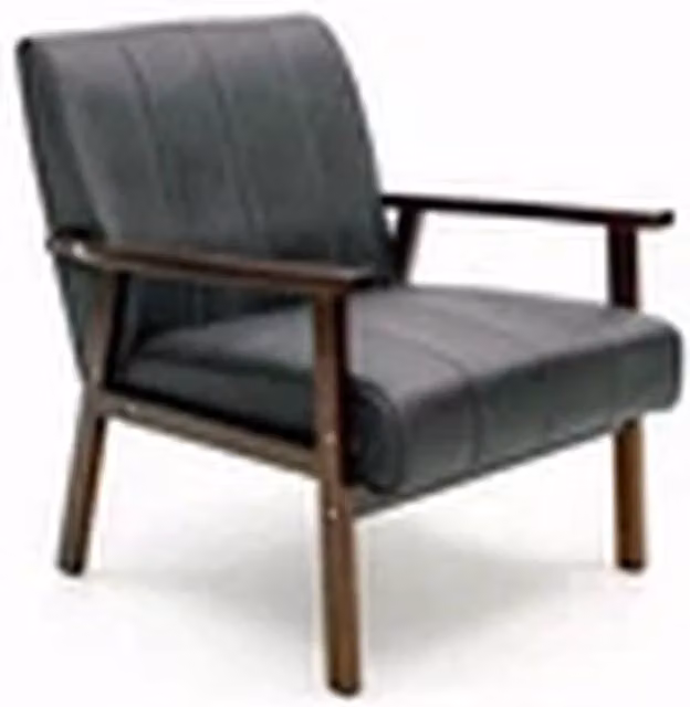 EONLION Modern Black Accent Armchair with Solid Wood Frame – 1